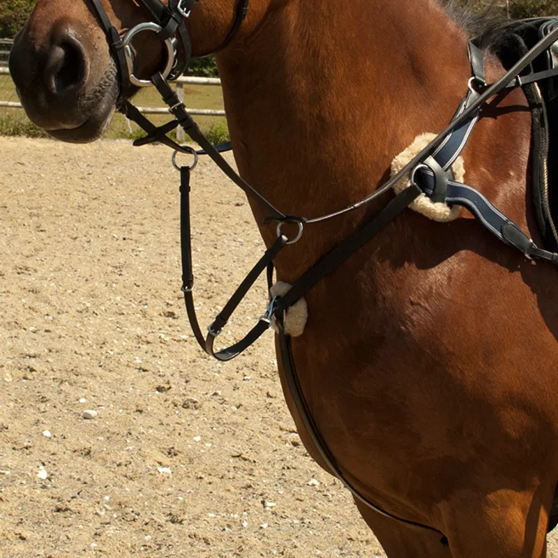Windsor Leather Five Point Breastplate - Black