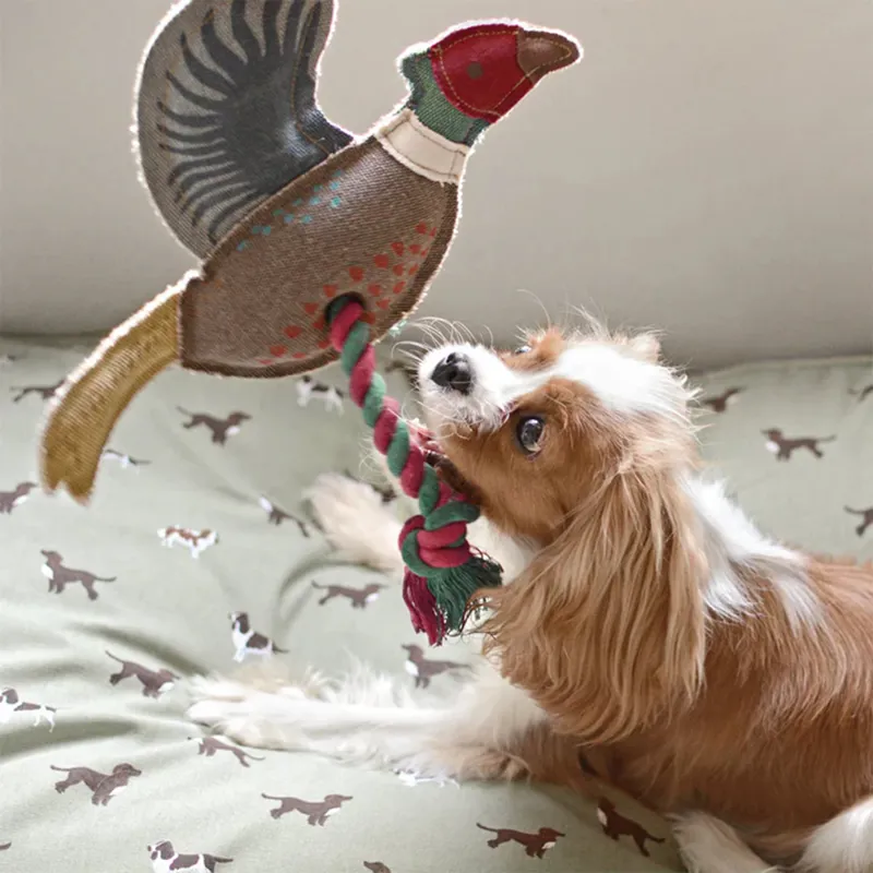 Sophie Allport Dog Toy - Pheasant-2
