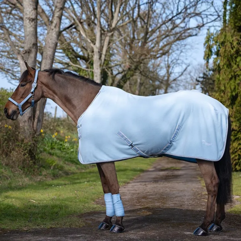 Rhinegold Sorbet Fleece Rug - Blue
