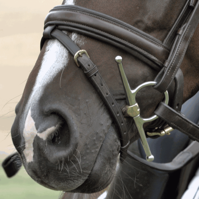 Sprenger Dynamic RS Full Cheek 16mm Double Jointed Bit - Sensogan-3