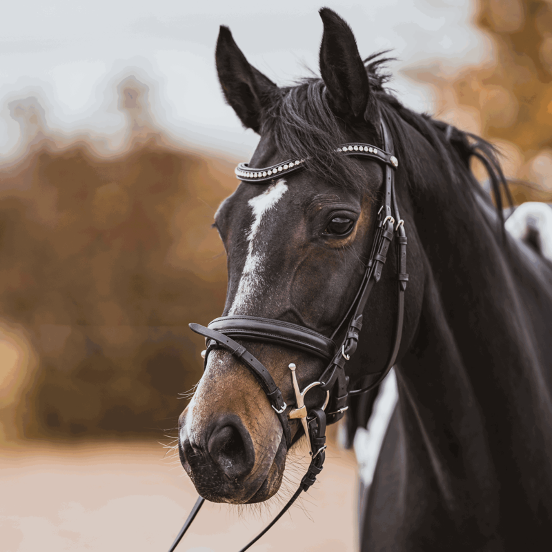 Sprenger Dynamic RS Full Cheek 16mm Double Jointed Bit - Sensogan-2