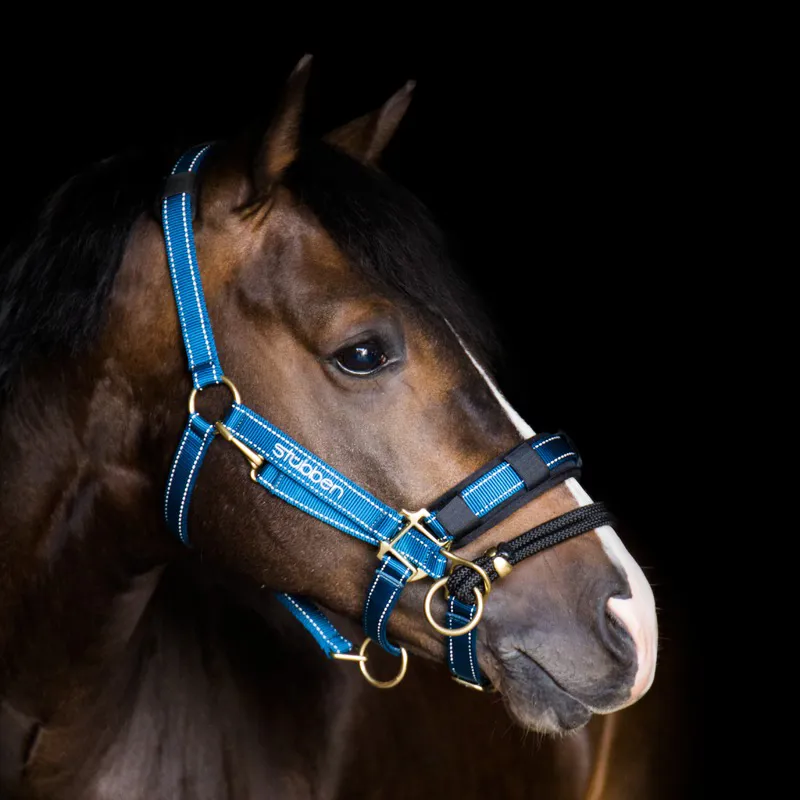 Stubben LK Controller Headcollar Attachment-2