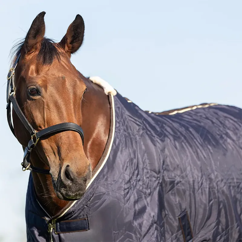 StormX Original Luxury Show Rug - Navy/Cream-3