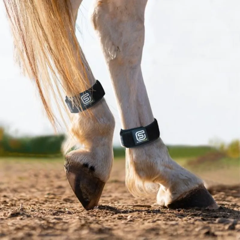 Streamz Global EQU StreamZ Magnetic Horse Bands - Pair-3