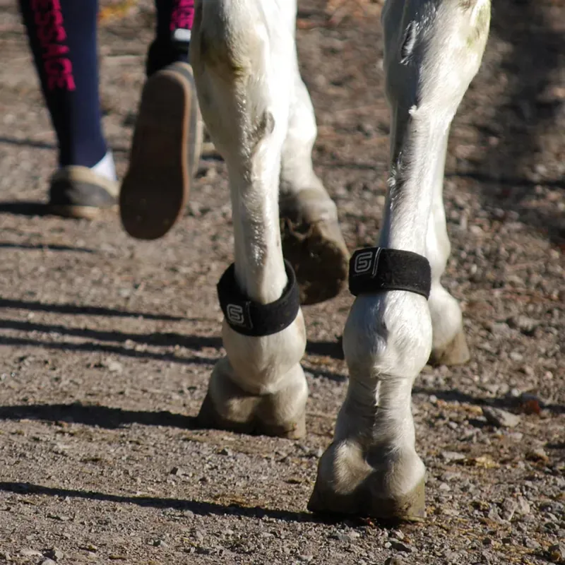 Streamz Global EQU StreamZ Magnetic Horse Bands - Pair-5