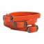 DOG StreamZ Magnetic Collar - Orange
