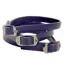 DOG StreamZ Magnetic Collar - Purple
