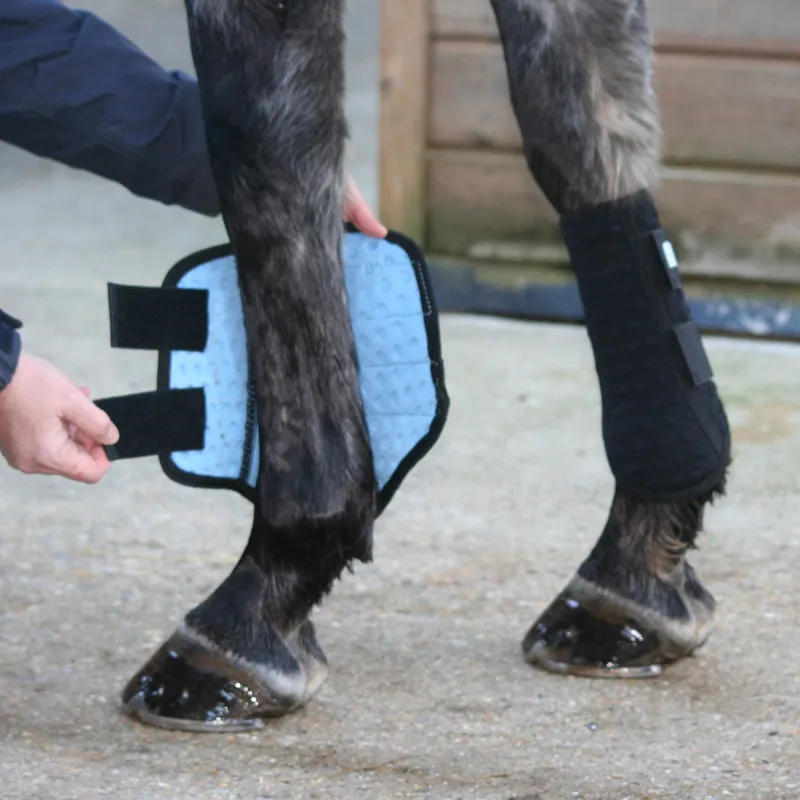 Equilibrium Stretch and Flex Flatwork Wraps - Black-1