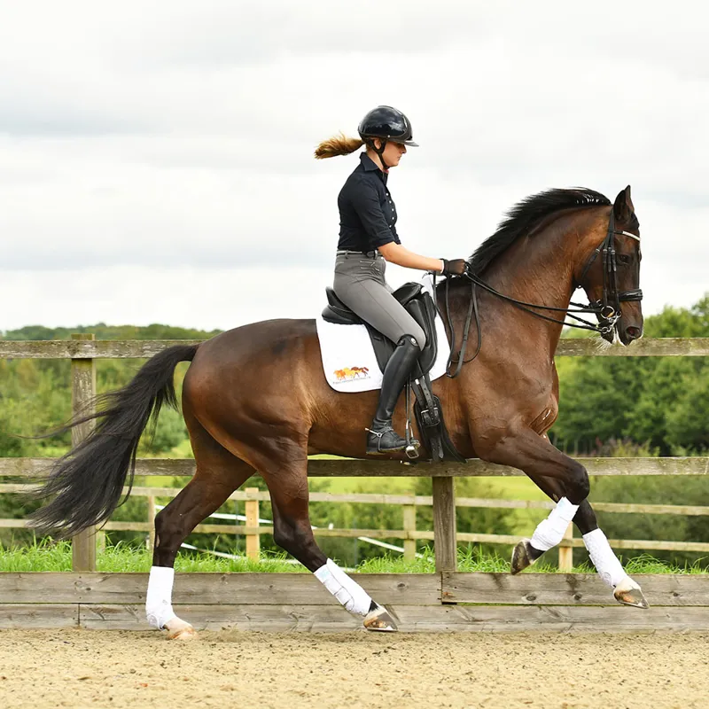 Equilibrium Stretch and Flex Training Wraps - White-3