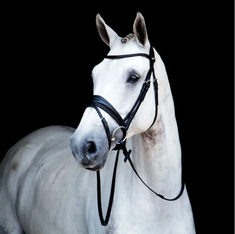 Stubben Clare 2 in 1 Bridle with Removable Flash - Black-3