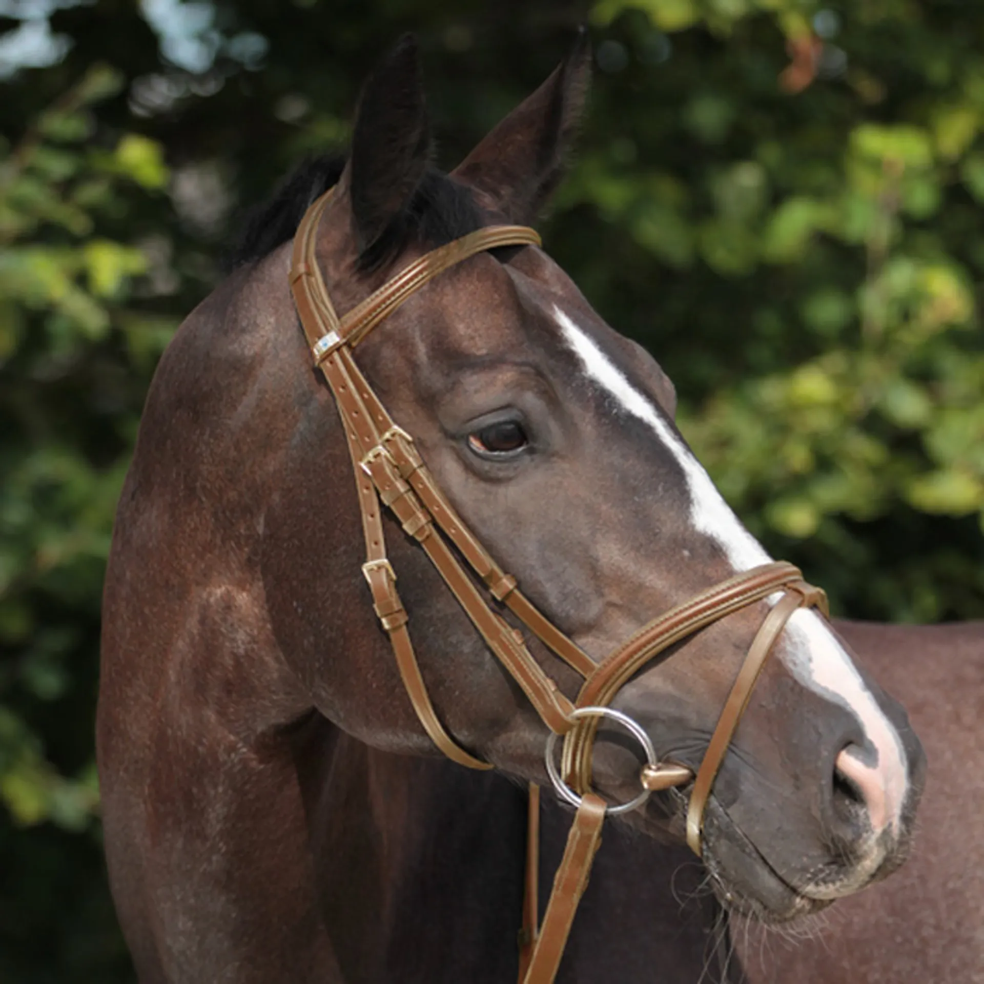 Stubben Leitrim Snaffle Bridle with Flash Noseband