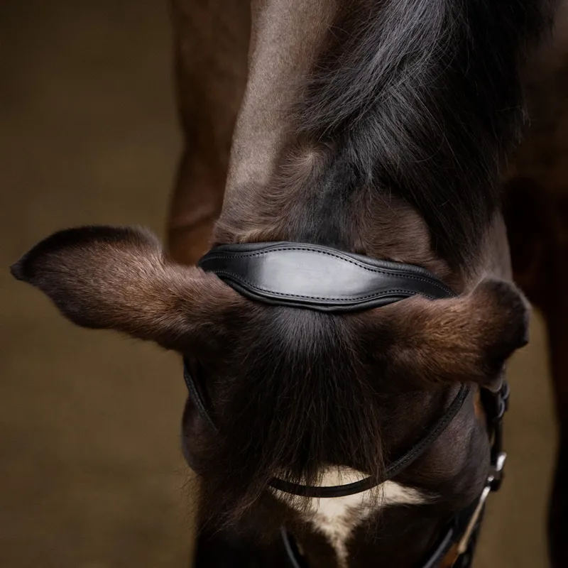 Stubben Pro-Jump Combined Flash 2700 Bridle - Black-2