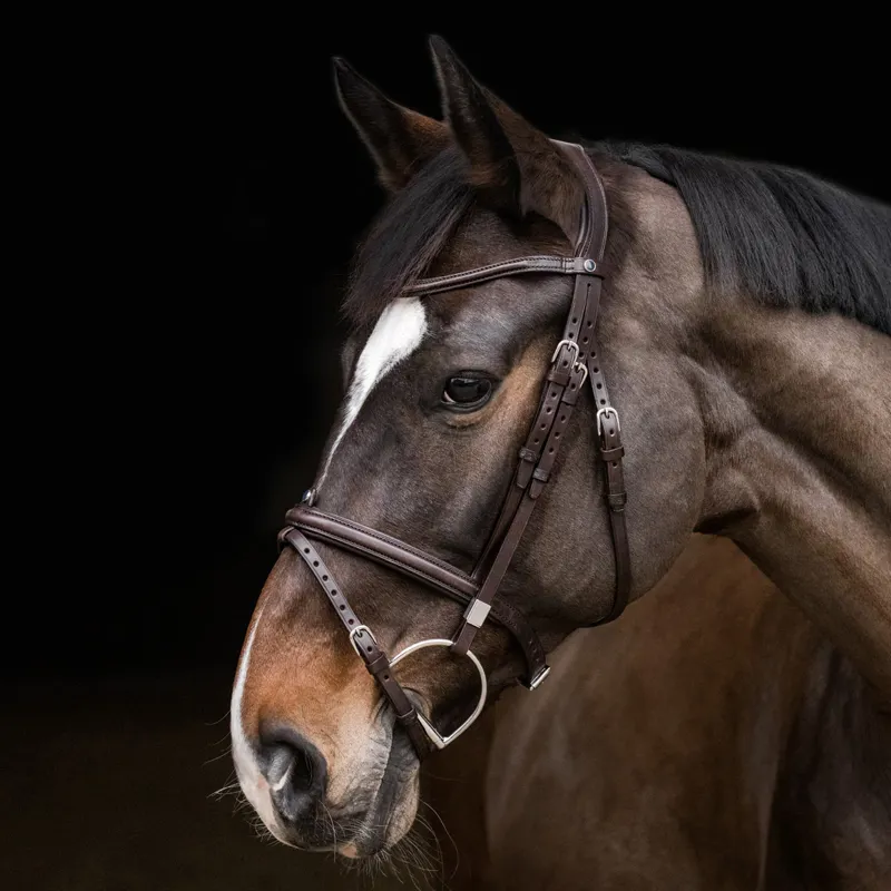 Stubben Pro-Jump Combined Flash 2700 Bridle - Ebony Brown-1