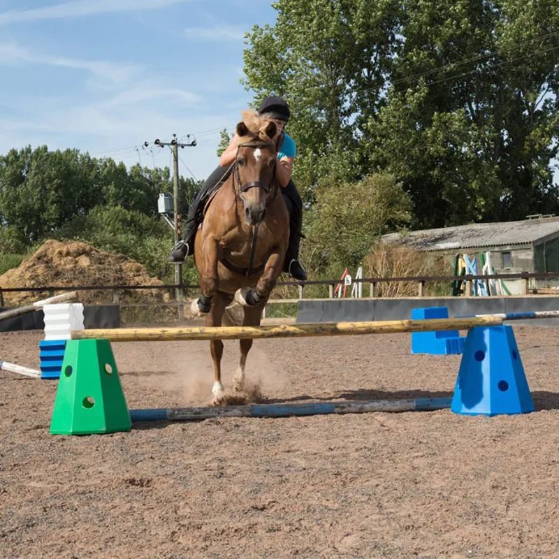 Stubbs Hay Roller - Blue-3