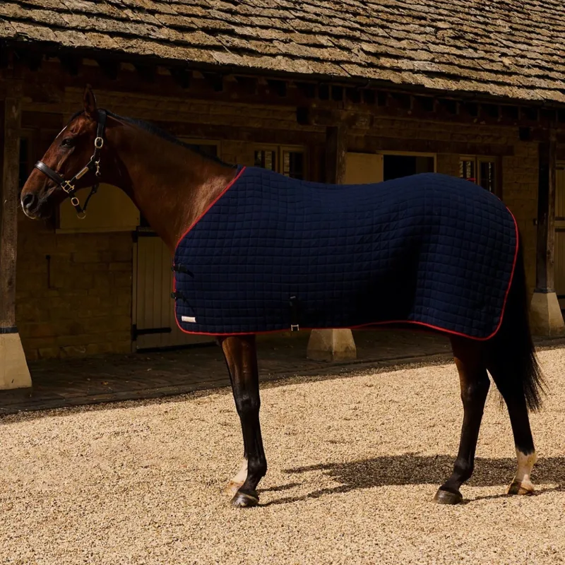 Thermatex Original Cooler Rug - Navy/Red