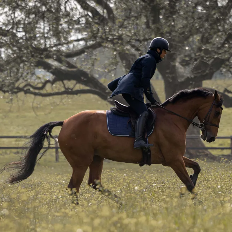 Toggi Griffiths Ladies Waterproof Long Riding Coat - Navy-7