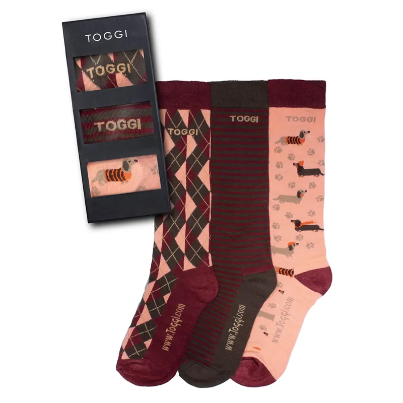 Toggi Loughly Womens Tall Riding Socks 3 Pack - Burgundy-1