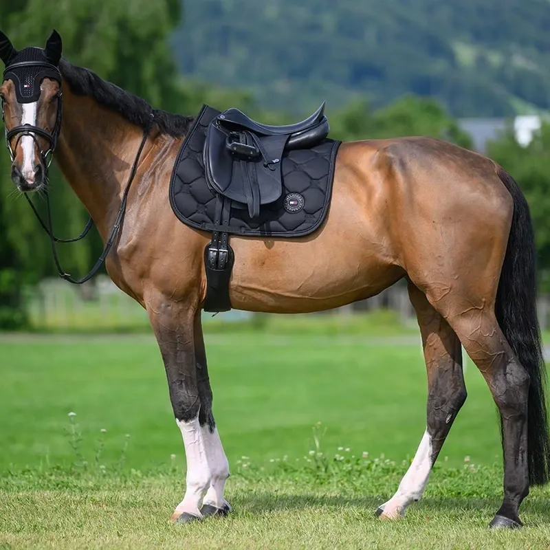 Tommy Hilfiger Emory Dressage Saddlecloth - Desert Sky Pre-Order-5