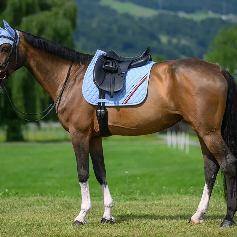 Tommy Hilfiger Stanford Dressage Saddlecloth - Sweet Blue Pre-Order-5