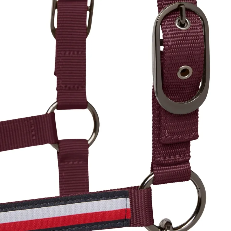 Tommy Hilfiger Yale Headcollar and Lead Rope Set - Deep Burgundy Pre-Order-9