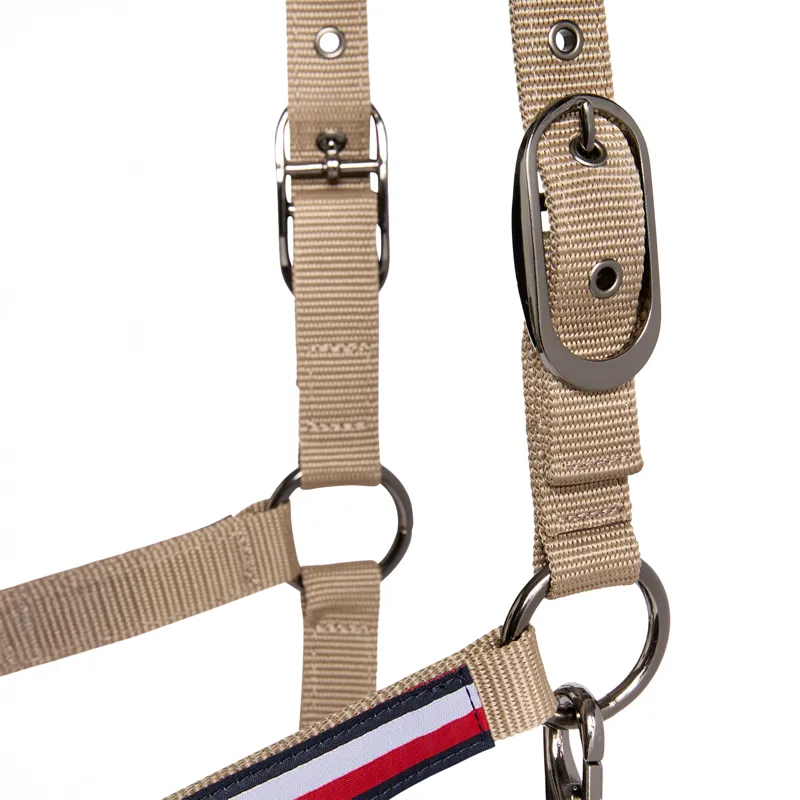 Tommy Hilfiger Yale Headcollar and Lead Rope Set - Taupe-3