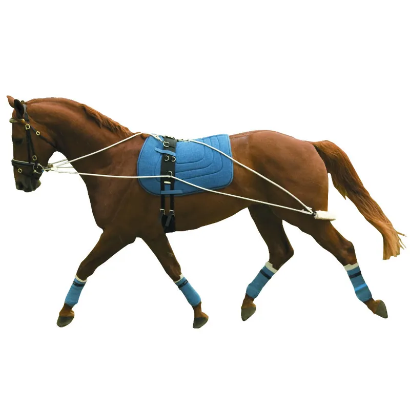 Kincade Lunging Training Aid System