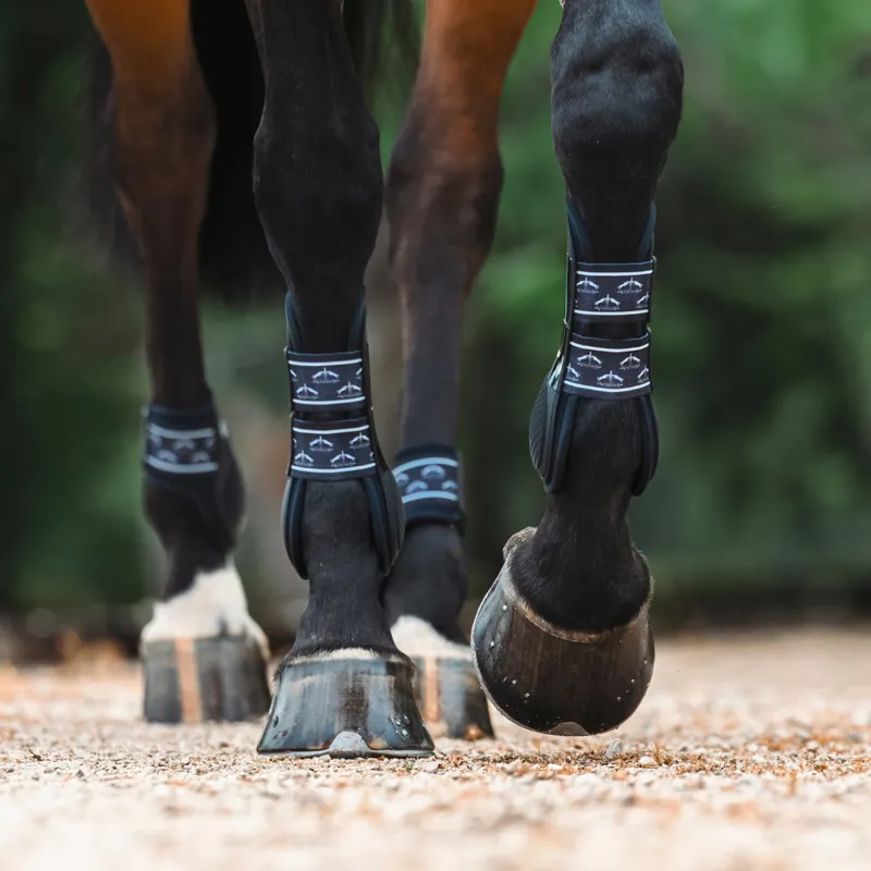Veredus TRPro H5 Front Tendon Boots - Black-2