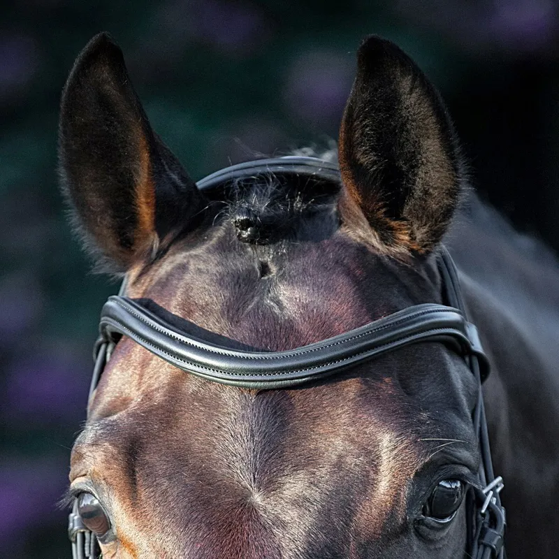 Equiline BB0426 U Shaped Browband - Black-2