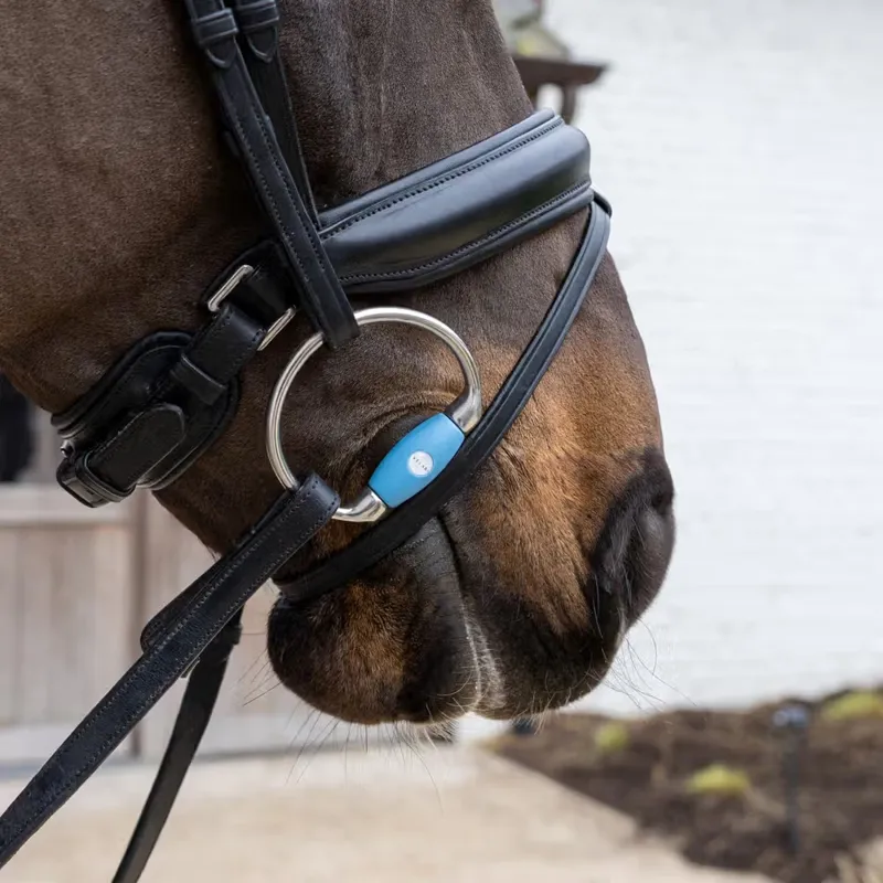 Velari Flex Medium Straight Bar Eggbutt Snaffle Bit-5