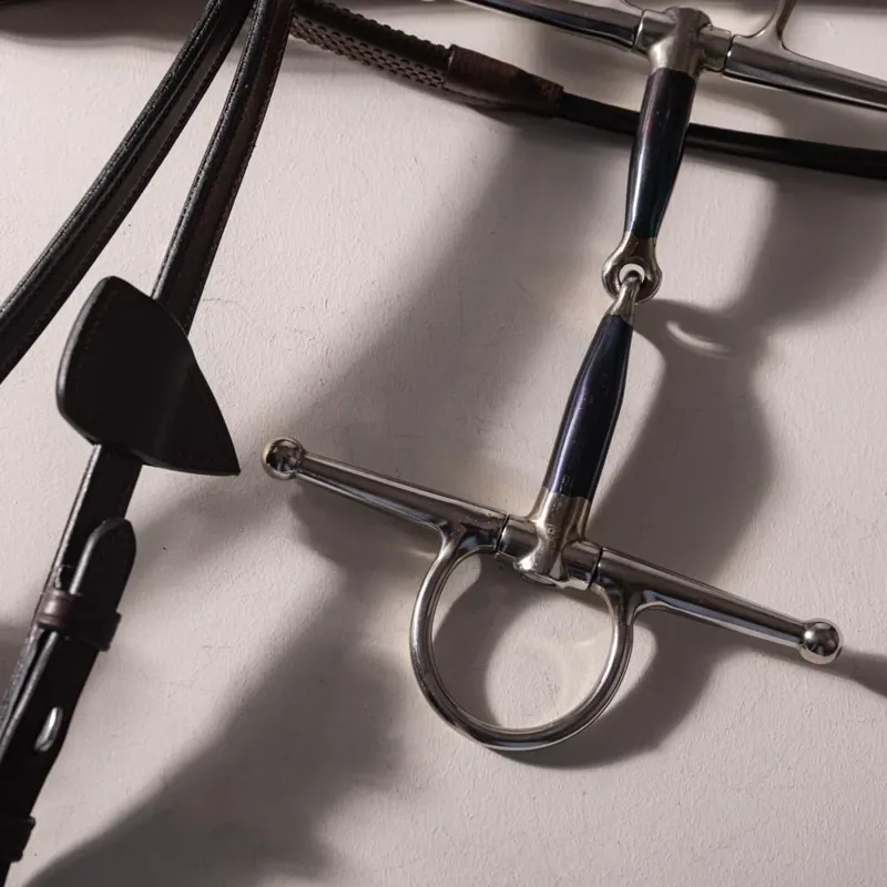 Velari Sweet Iron Single Jointed Full Cheek Snaffle Bit -4