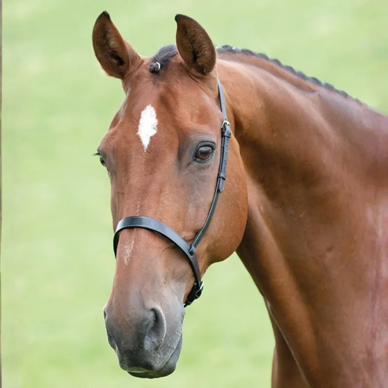 Velociti GARA Cavesson Noseband - Black