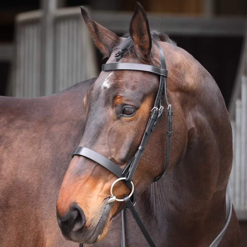 Velociti GARA Plain Bridle - Black