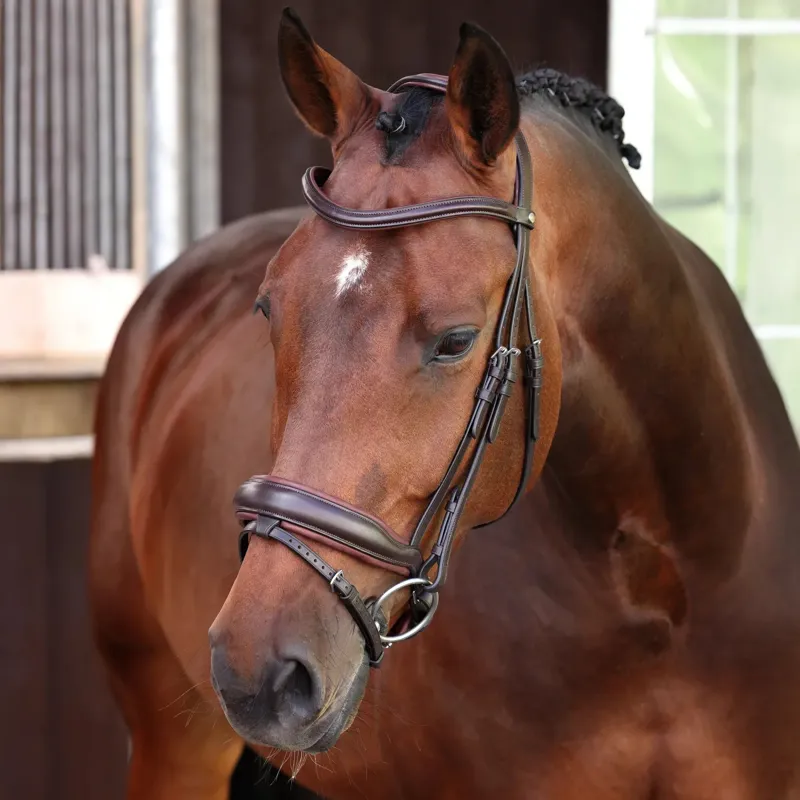 Velociti LUSSO Elite Dressage Flash Bridle - Havana