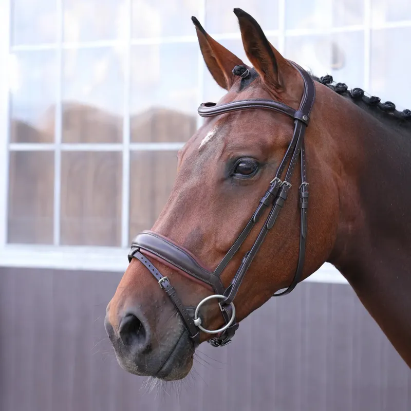 Velociti LUSSO Elite Dressage Flash Bridle - Havana-1