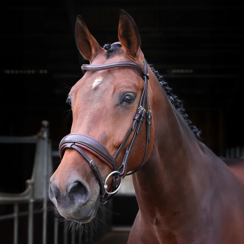 Velociti LUSSO Elite Dressage Flash Bridle - Havana-2