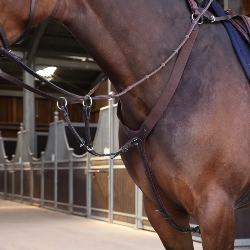 Velociti Lusso Elite Elastic Breastplate - Havana