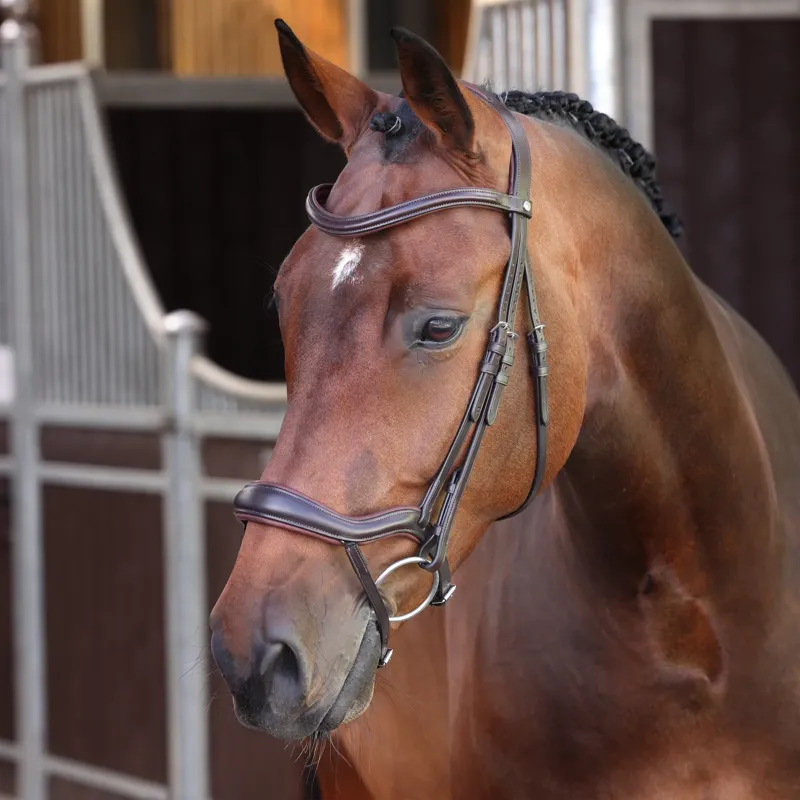 Velociti Lusso Elite Ergonomic Padded Flash Bridle - Havana