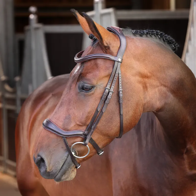 Velociti Lusso Elite Ergonomic Padded Flash Bridle - Havana-1