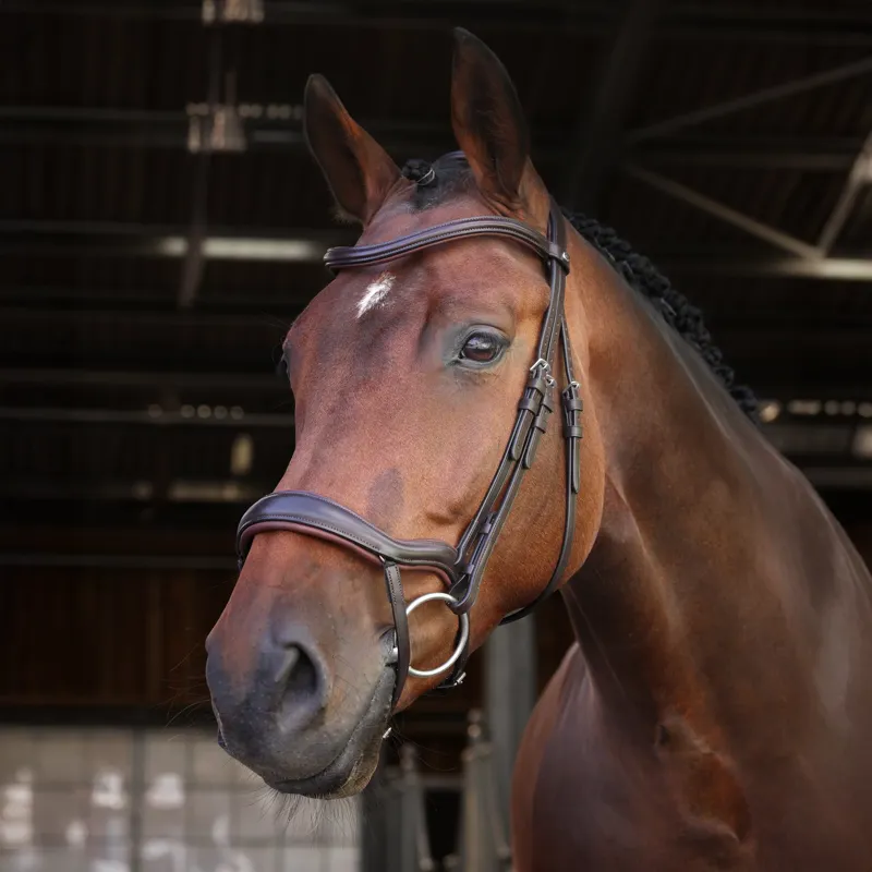 Velociti Lusso Elite Ergonomic Padded Flash Bridle - Havana-2