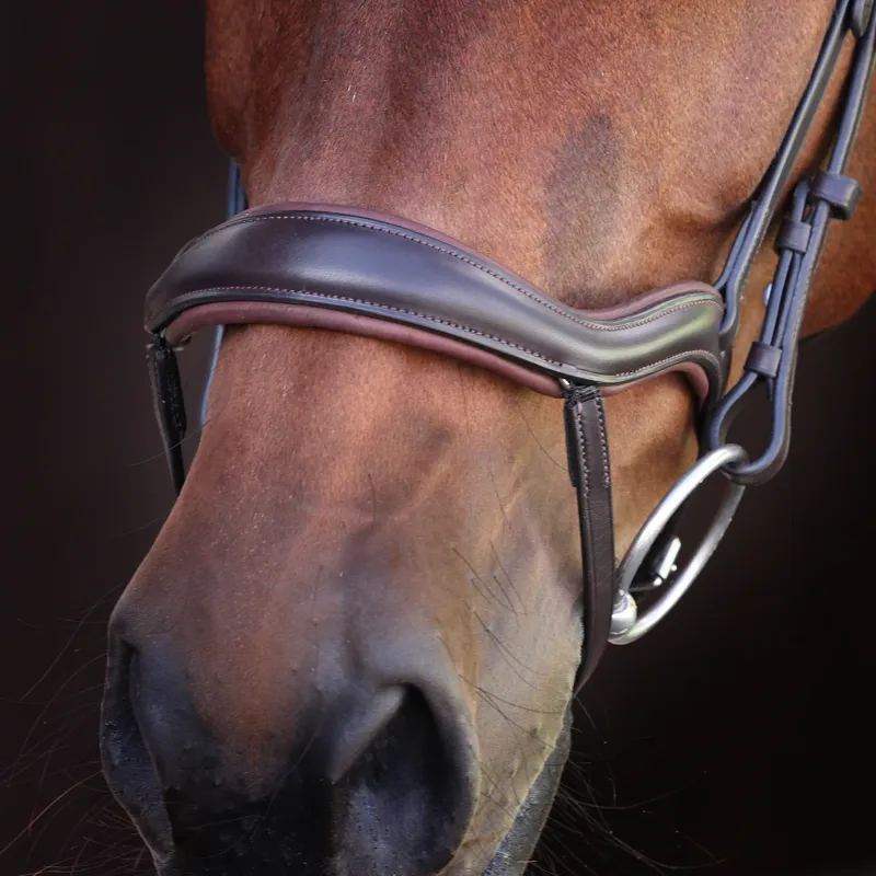 Velociti Lusso Elite Ergonomic Padded Flash Bridle - Havana-3