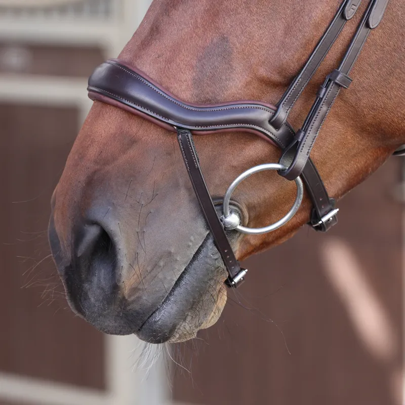Velociti Lusso Elite Ergonomic Padded Flash Bridle - Havana-4