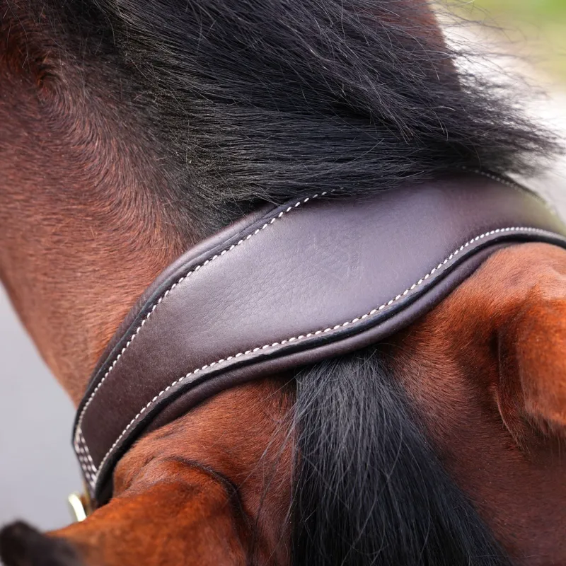 Velociti LUSSO Padded Leather Headcollar - Havana-4