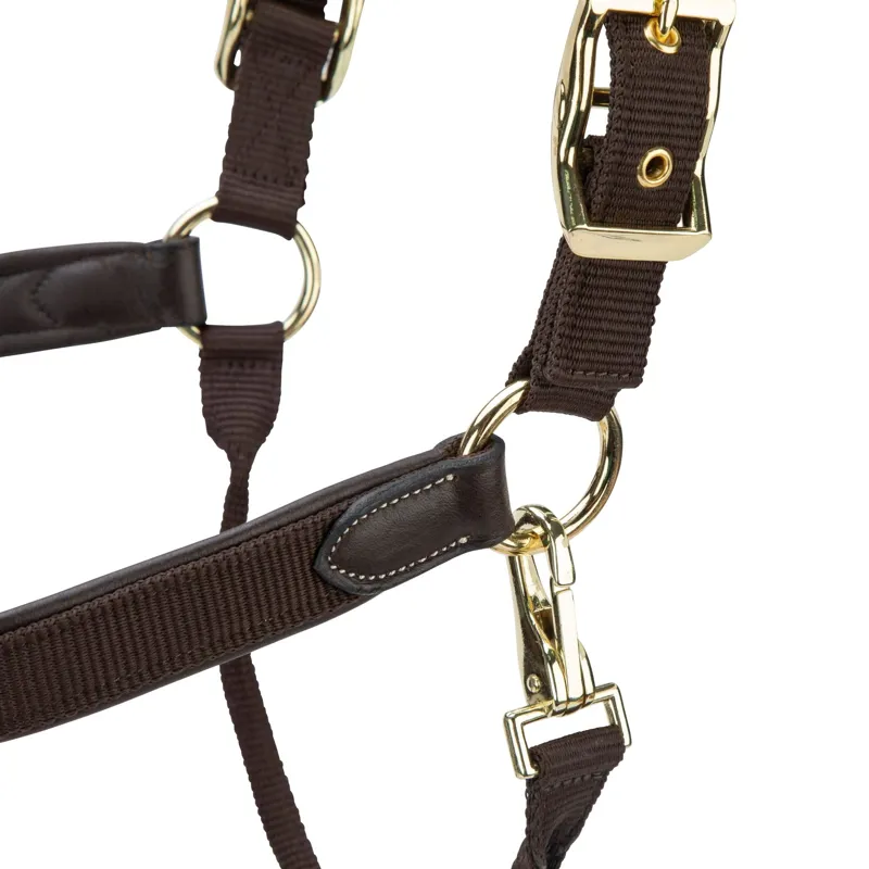 Velociti LUSSO Padded Leather Headcollar - Havana-6