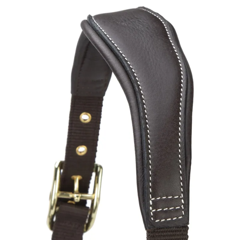 Velociti LUSSO Padded Leather Headcollar - Havana-7