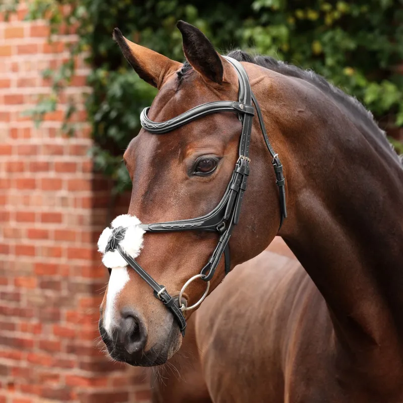 Velociti LUSSO Opus 180M Grackle Bridle - Black