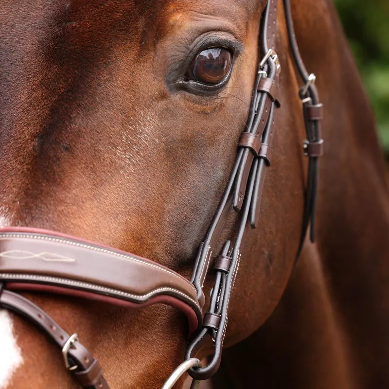 Velociti LUSSO Opus 180M Dressage Flash Bridle - Havana-6
