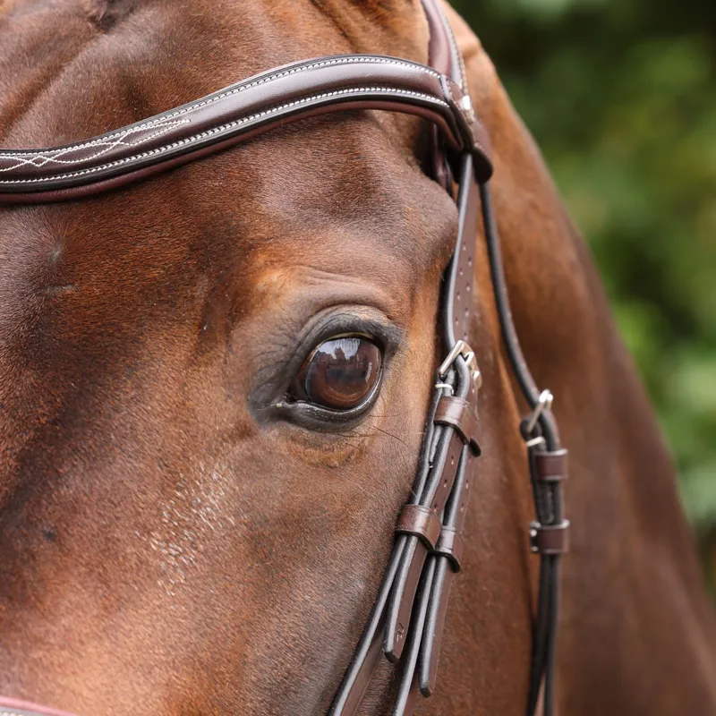 Velociti LUSSO Opus 180M Dressage Flash Bridle - Havana-8