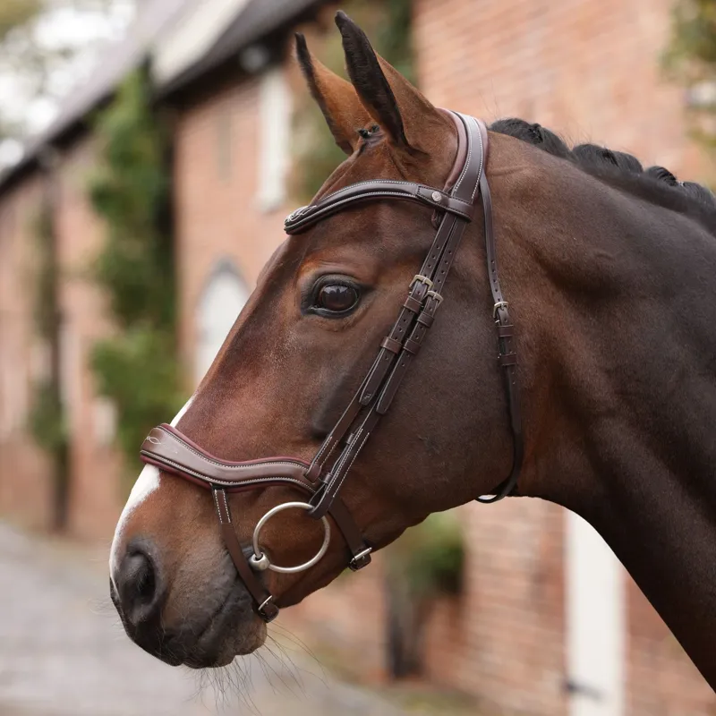Velociti LUSSO Opus 180M Ergonomic Dressage Flash Bridle - Havana-10