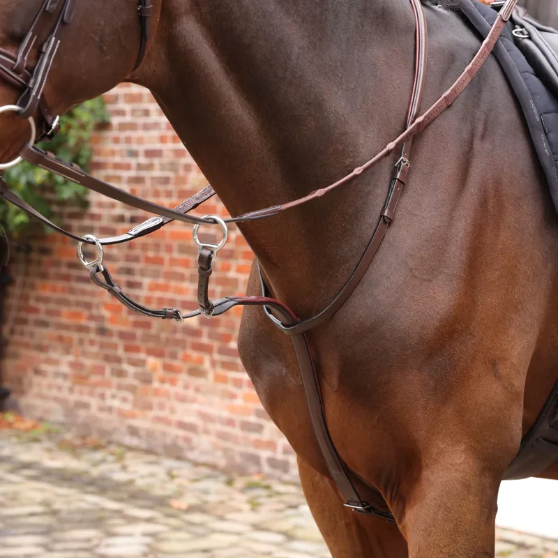 Velociti Lusso Opus Running Martingale - Havana