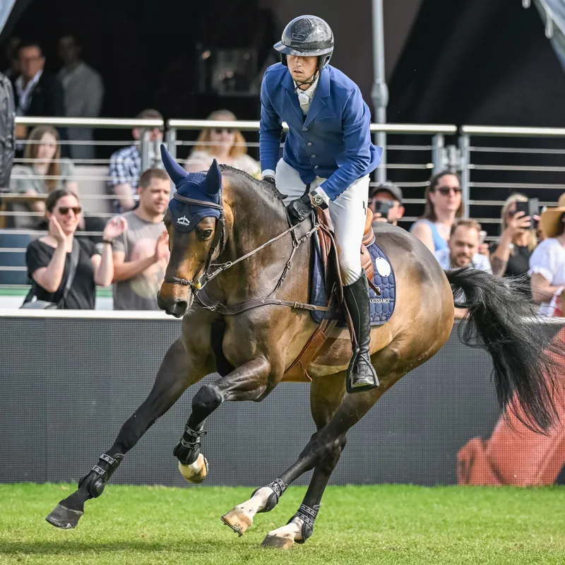 Veredus Carbon Gel Absolute Velcro Strap Front Tendon Boots - Black-2